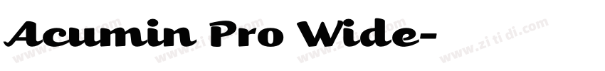 Acumin Pro Wide字体转换